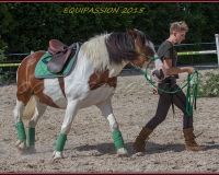 1-13JUIN 0676